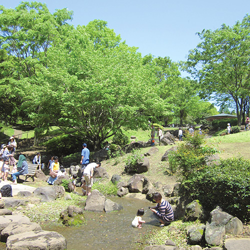 麻生スポーツセンター 健康ウォーク「公園巡りコース」