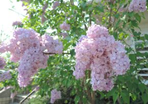 kasai_photo04.jpg